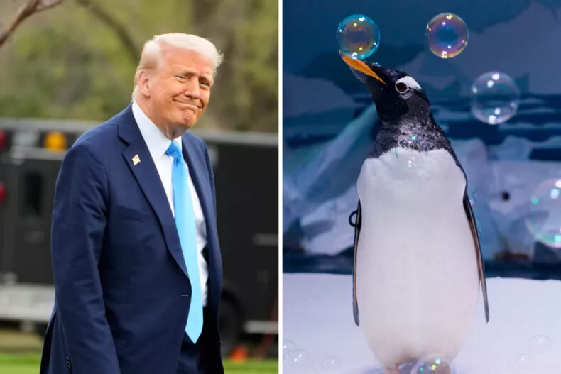 Trump's reciprocal tariffs reach small, uninhabited islands