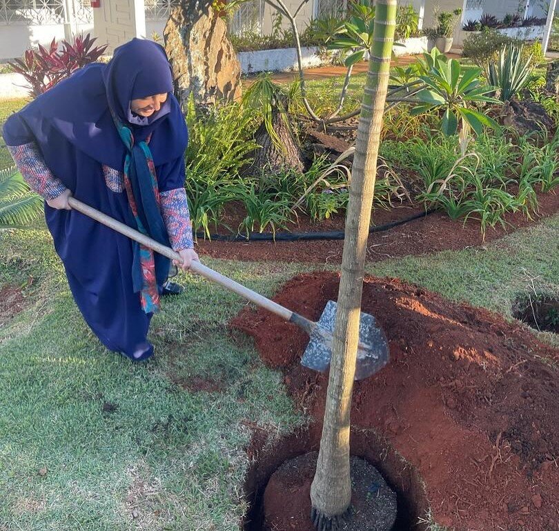 DOE head plants saplings in Brasilia