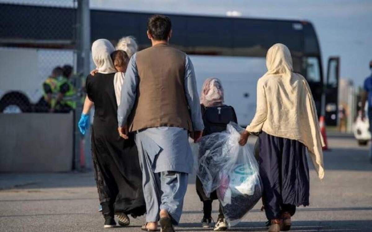Over 6 million Afghan nationals residing in Iran