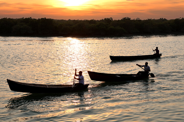 Soheili mangrove forest: a harmony of community and conservation