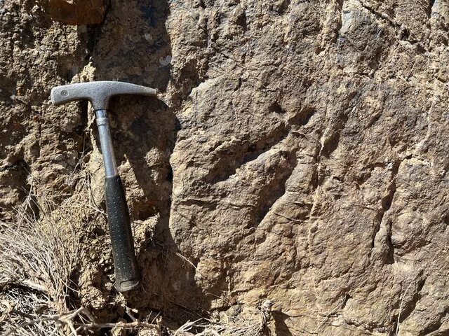 Dinosaur footprint discovered in Zarand becomes county’s top tourist attraction