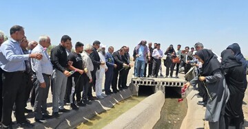 Locals revive tradition of cherishing ancient qanats with flowers and rosewater