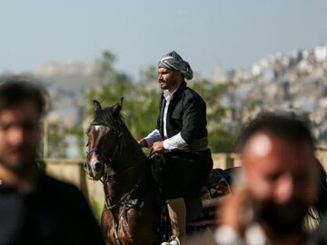 First Kurdish purebred horse festival held in Sanandaj