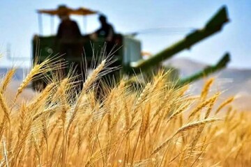 GIEWS releases report on food security in Iran