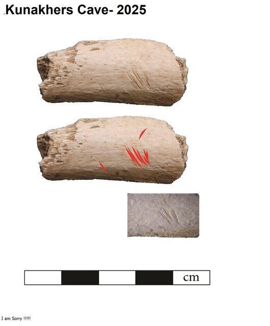 Traces of Neanderthal presence discovered in cave, western Iran