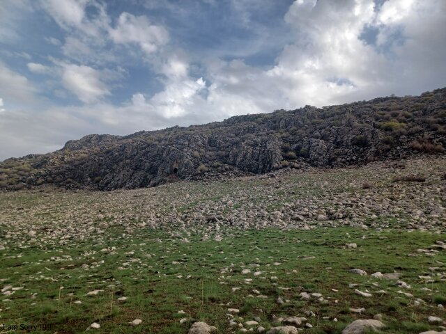Traces of Neanderthal presence discovered in cave, western Iran