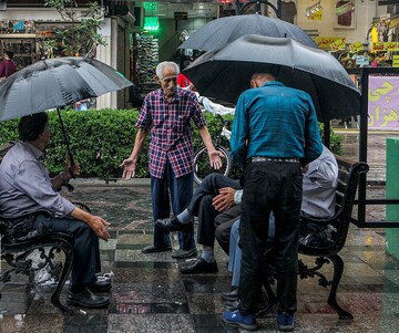 Welfare Organization plans to improve the elderly’s quality of life