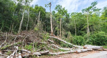 Habitat loss main cause of decline in species population: DOE official