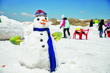 Tehran’s Tochal hosts snowman festival