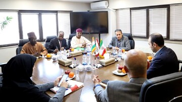 Niger welcomes imports of Iranian mineral products: envoy