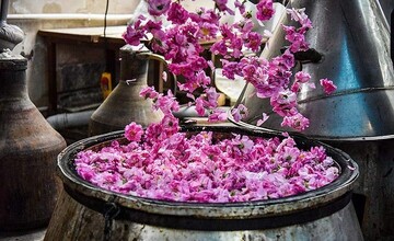 rosewater