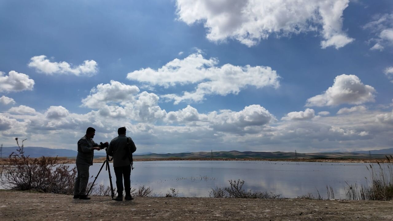 Discover Shurgol wetland: a sanctuary for birds, wildlife, and nature lovers