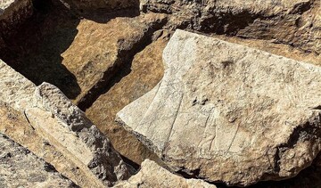 Intricately carved 2,700-year-old Assyrian relief unearthed in Iraq