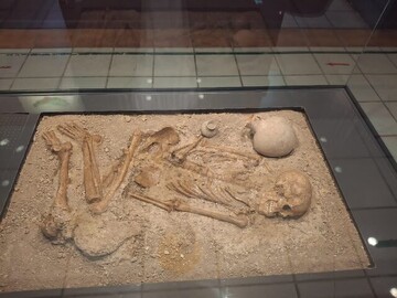 3,200-year-old Iron Age woman's skeleton discovered in northern Iran