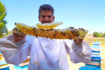 Annual honey exports rise 20% despite policy hurdles