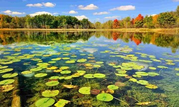 ecotourism