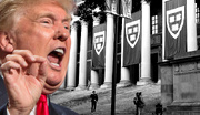 Trump’s war on Harvard