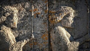 LICHEN