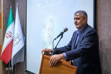 Decisions will be made on national interests, not foreign pressure: Iran nuclear chief