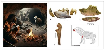 Wezmeh Cave in west Zagros reveals window into prehistoric ecosystems
