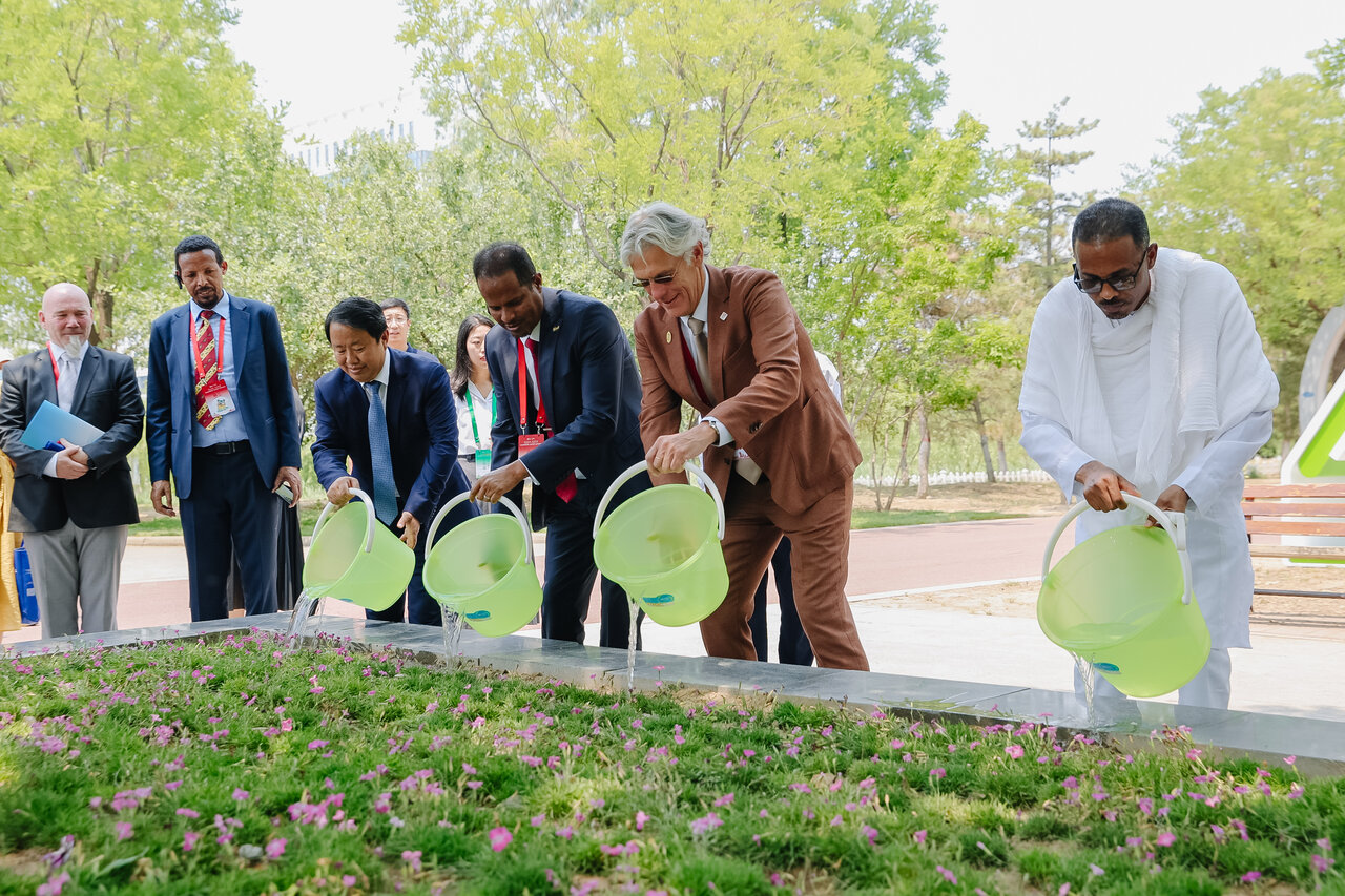 From ancient wisdom to modern diplomacy: Binzhou champions President Xi’s vision of global harmony