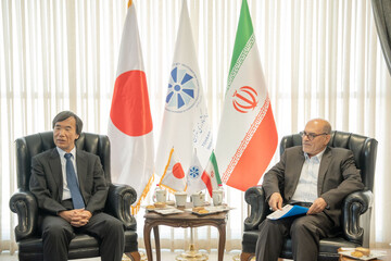 Iranian, Japanese private sector officials discuss boosting economic ties