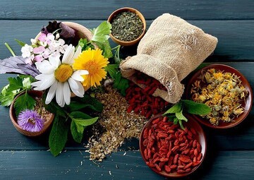Iranian academic proposes a global fund for traditional medicine