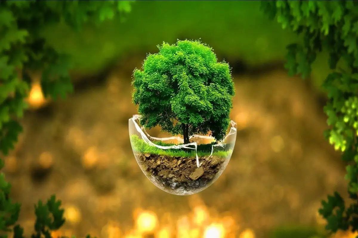 National environment week underway