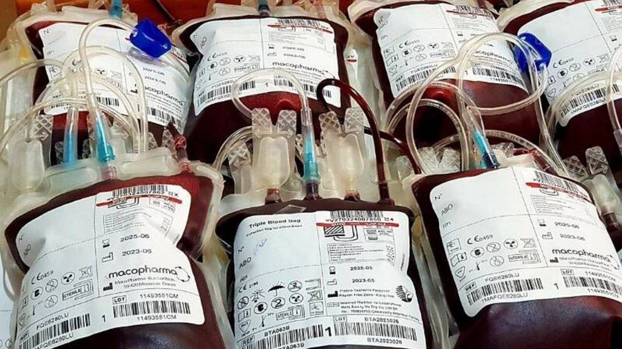 Blood donation rises by over 5% in 2 months