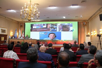 FAO highlights SFM practices to address Zagros Forest challenges