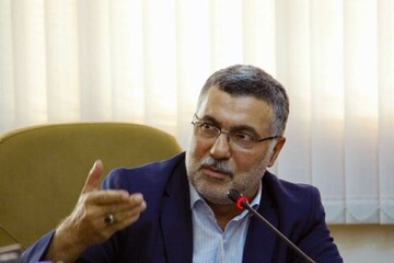 Health minister: civilians account for majority of martyrs and the injured