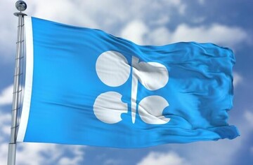 OPEC secretary-general condemns Israeli attack on Iran, offers condolences