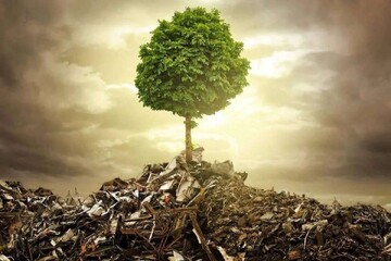 ‘Nature, the silent part in wars’