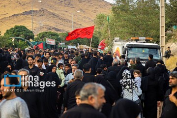 Documented refugees have no problem attending Arbaeen pilgrimage