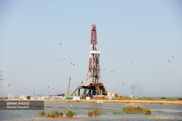 oil