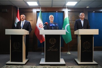 Iran, Iraq, Pakistan unite for Arbaeen amid regional solidarity against Israeli aggression