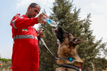 SAR dogs training drill held
