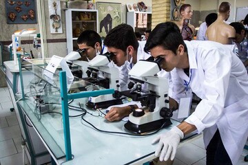 Fourth nanotech summer school to be held