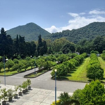 Ramsar