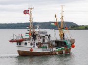 Handala embarks on lifesaving voyage to break Gaza siege