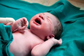 Over 214,000 births registered in three months