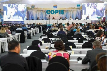 Iran elected as vice-chair of Ramsar Convention on Wetlands meeting