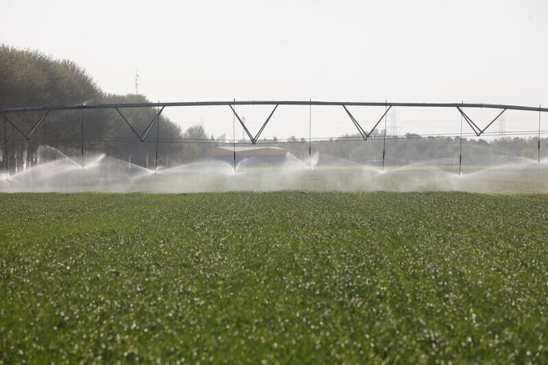 irrigation