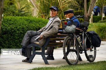 Over 15 cities in Iran become age-friendly