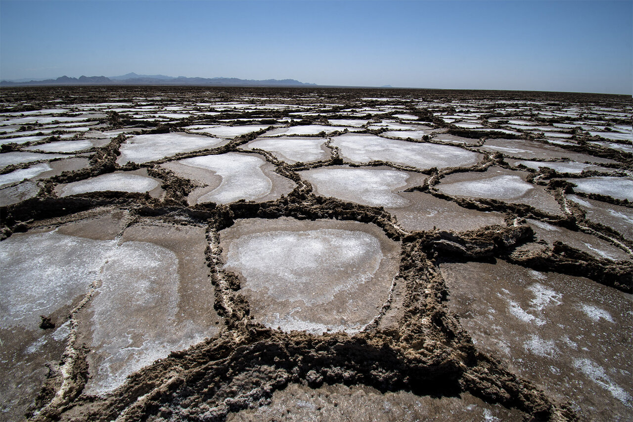 Visually striking salt polygons in northeast Iran