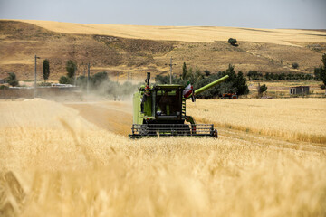 Wheat harvest underway in northwest Iran