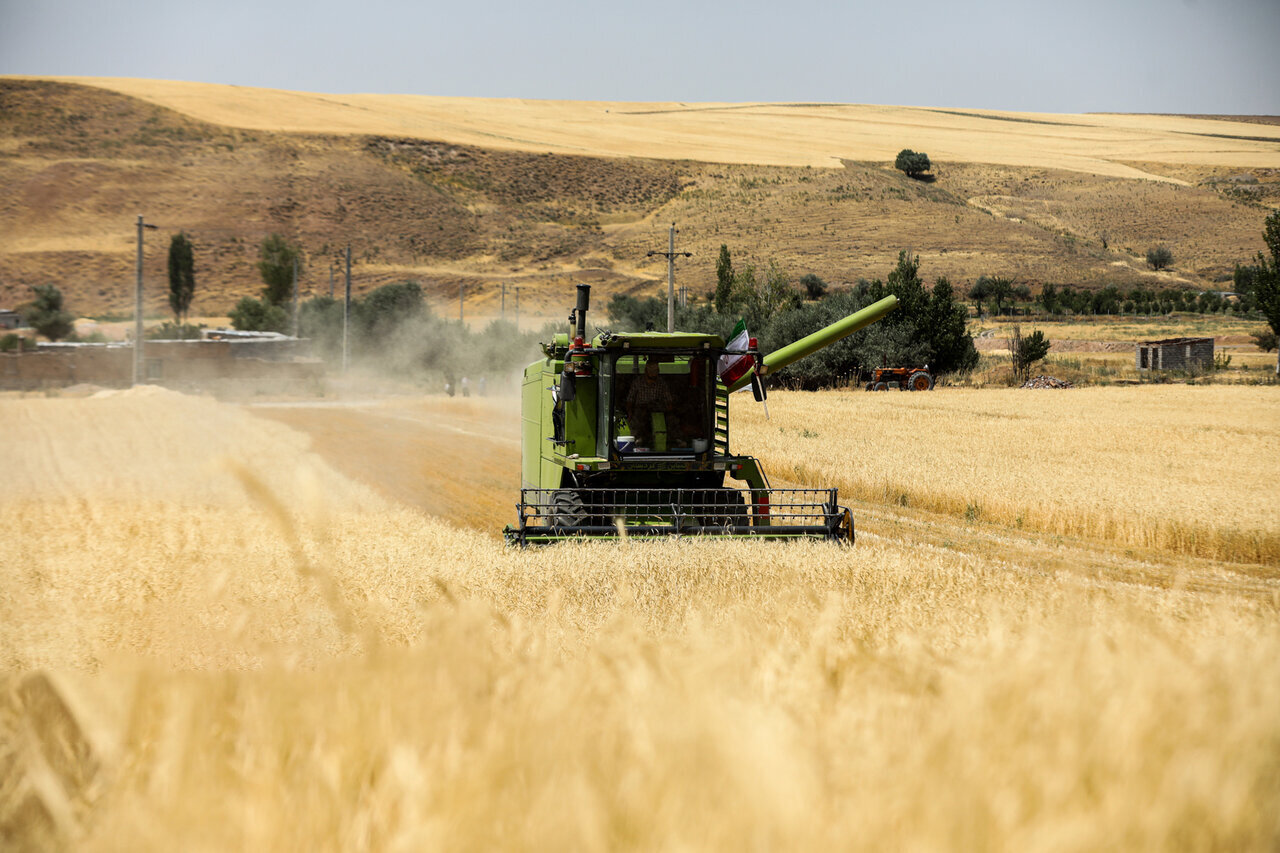 Wheat harvest underway in northwest Iran