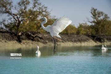 DOE implementing over 120 projects to preserve marine coastal ecosystem