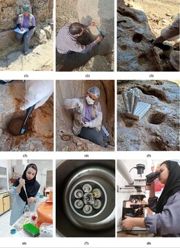Study of ancient rock-carved structures launched in Kermanshah
