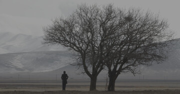 Iranian film, juror to participate in DMZ International Documentary Film Festival in South Korea